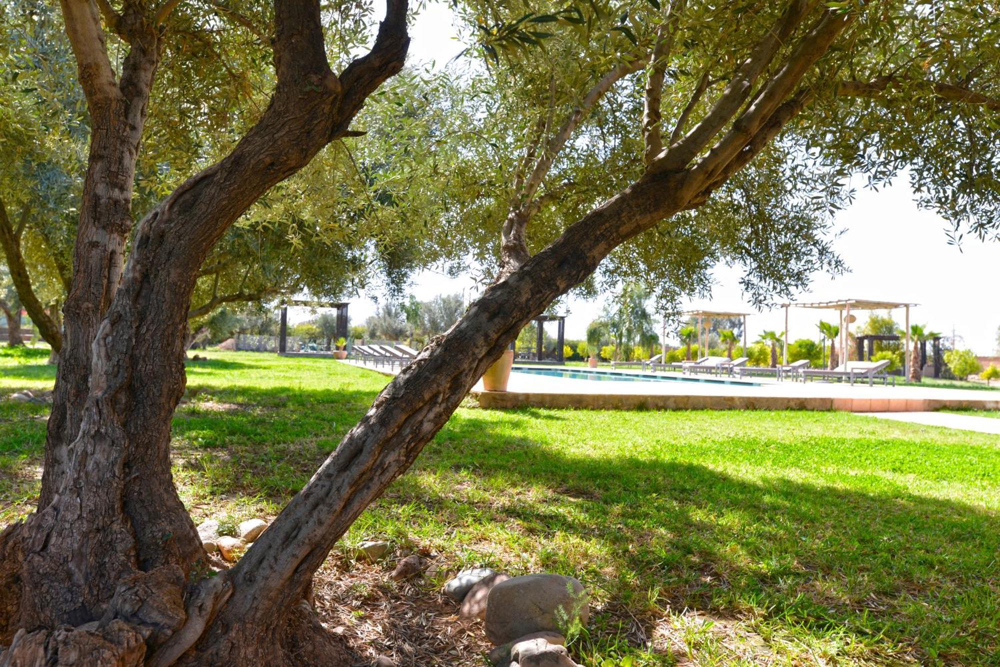 Villa Agora, Villa A La Campagne Proche Marrakech Sidi Abdallah Ghiat Экстерьер фото
